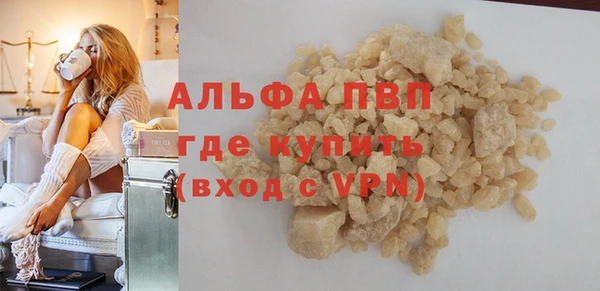 стаф Алексин