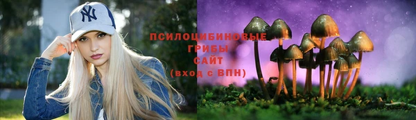 бутират Арсеньев