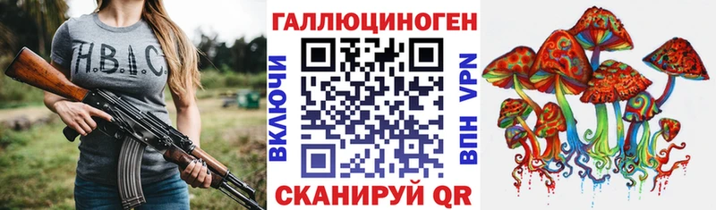 ссылка на мегу как зайти  Завитинск  Псилоцибиновые грибы ЛСД 